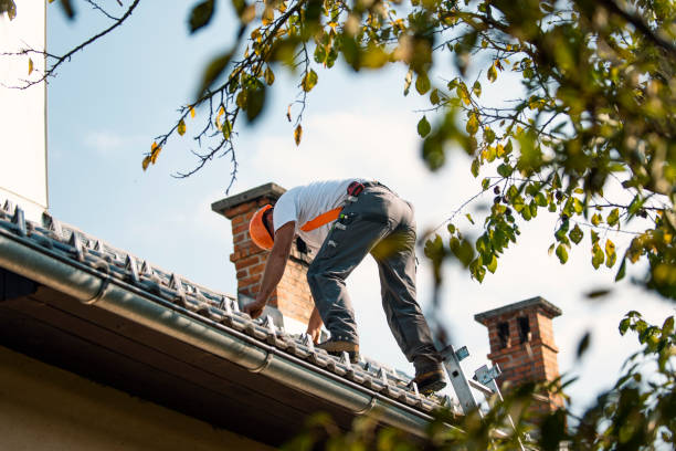 Best Flat Roof Repair Services  in North Highlands, CA