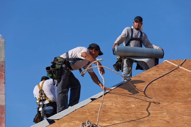 Best Roof Maintenance Services  in North Highlands, CA