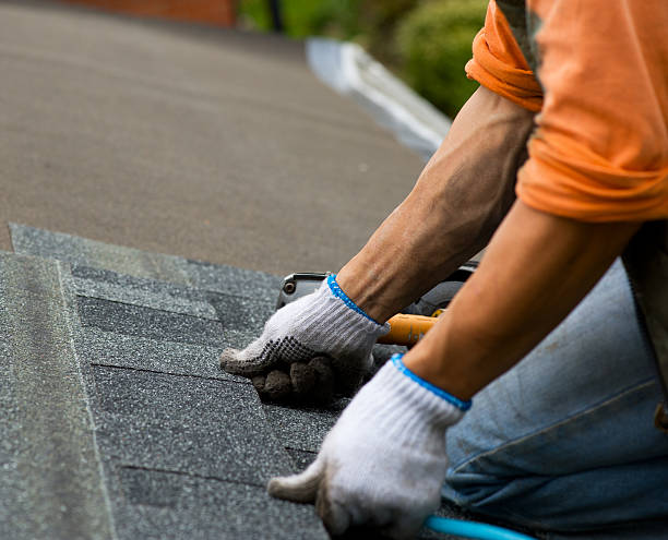 Best Roof Gutter Cleaning  in North Highlands, CA